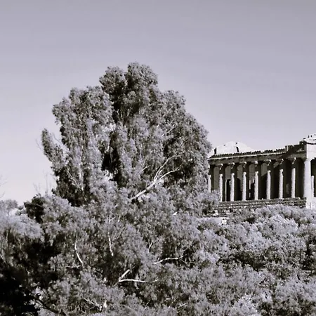 Il Giardino Del Tempio Bed & Breakfast